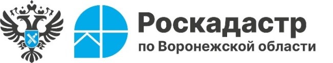 За полгода в ЕГРН внесено почти 4 тысячи различных зон на территории Воронежской области.