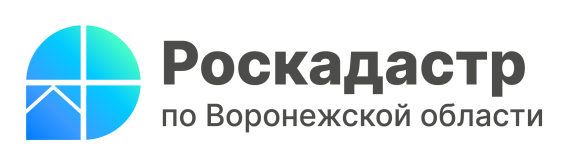 В ЕГРН внесен «зеленый пояс» Воронежа.